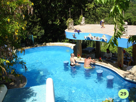 			 				Racoritoare in piscina