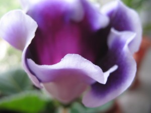 img_4030